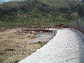 creaedilizia004049.jpg